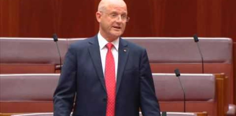 Leyonhjelm on Sydney lockouts and the Callinan recommendations