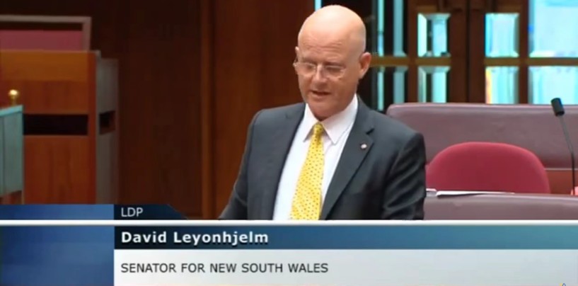 Senator Leyonhjelm on government debt, and continued borrowing.