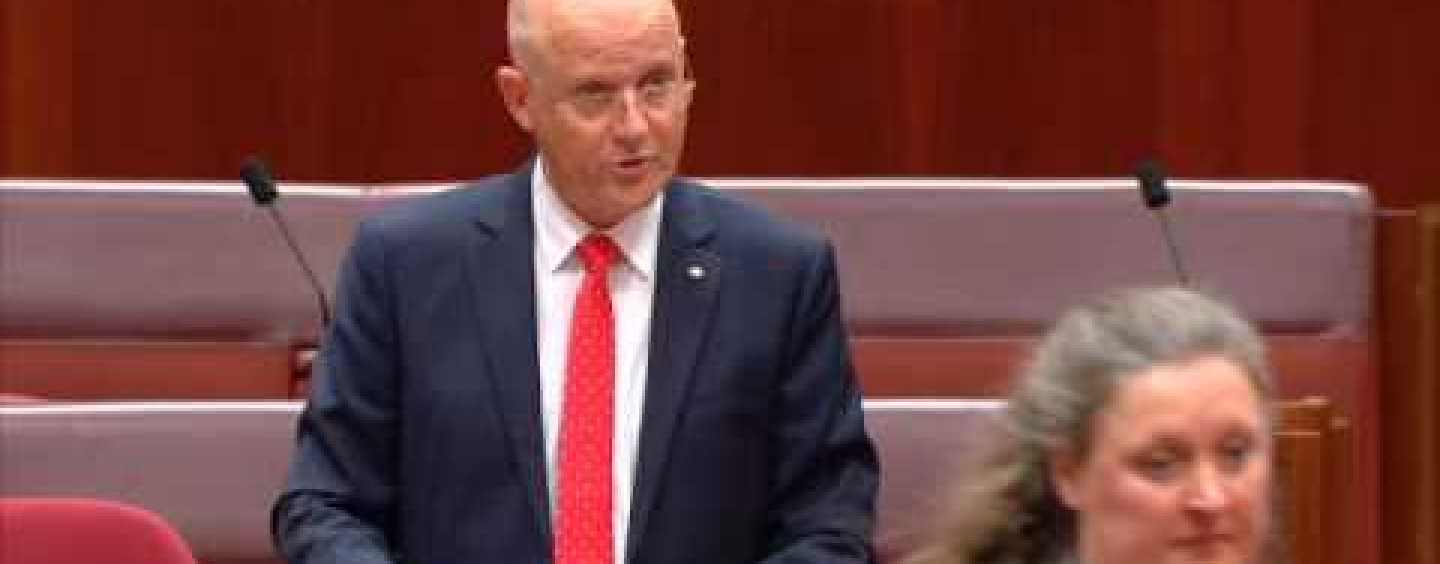 Taxation without representation sucks: Leyonhjelm on levies