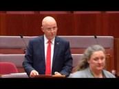 Taxation without representation sucks: Leyonhjelm on levies