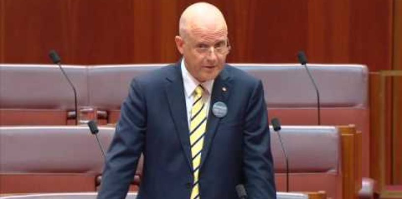 Explain your positions on taxation: Leyonhjelm