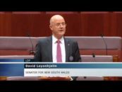 Lockout changes are not good enough: Leyonhjelm
