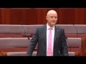 Senator Leyonhjelm opposes the counter terrorism legislation amendment bill