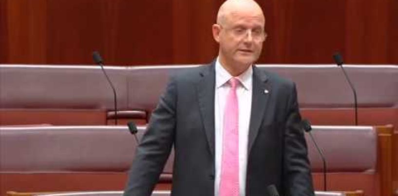 Senator Leyonhjelm opposes the counter terrorism legislation amendment bill