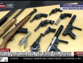 Leyonhjelm on the AMA and gun control