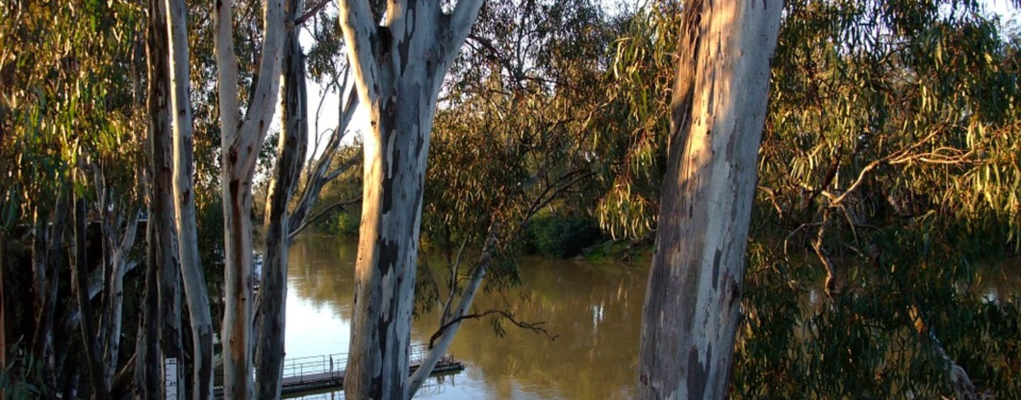 Burke ‘tone deaf’ to Murray Darling communities: Leyonhjelm