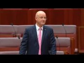 Leyonhjelm on wind farms: How much is this costing the economy?