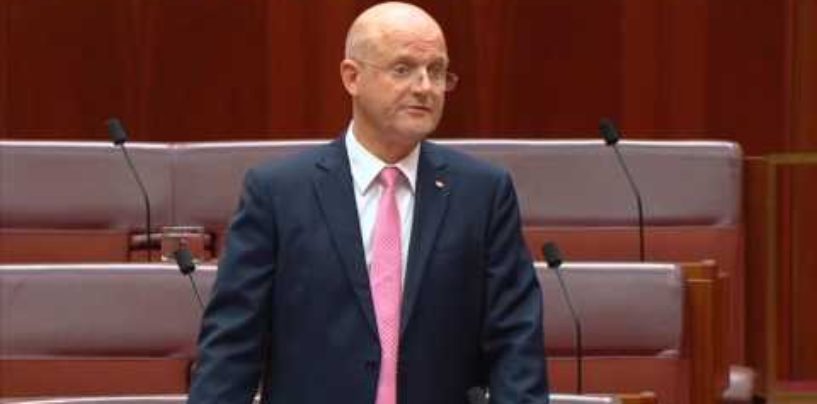 Leyonhjelm on wind farms: How much is this costing the economy?