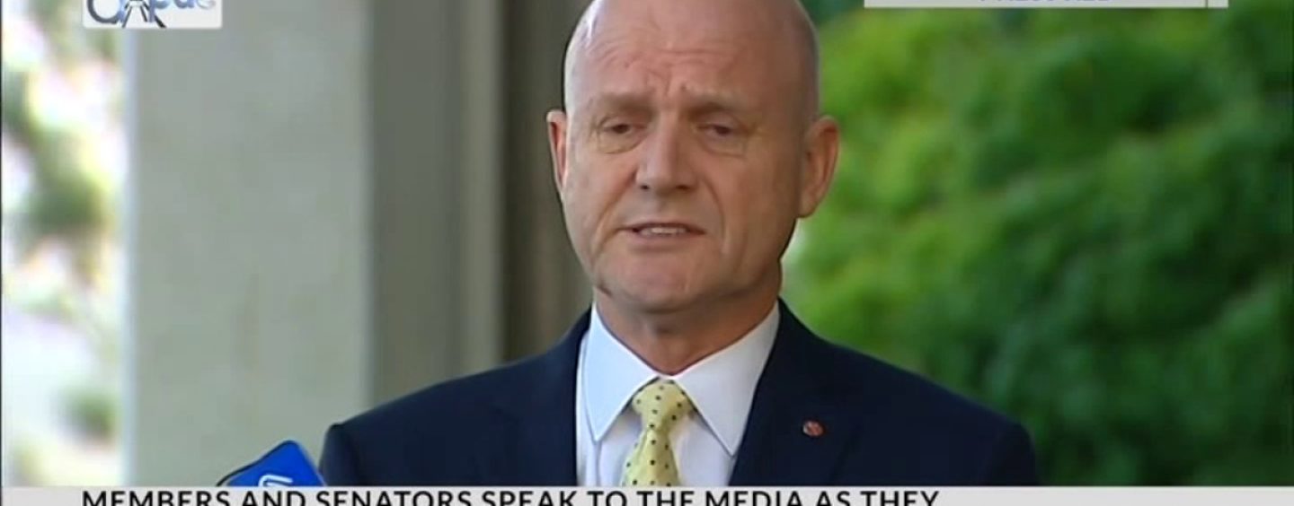 David Leyonhjelm channels power of Kek to attack Section 18C