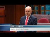 David Leyonhjelm on foreign donations to political parties