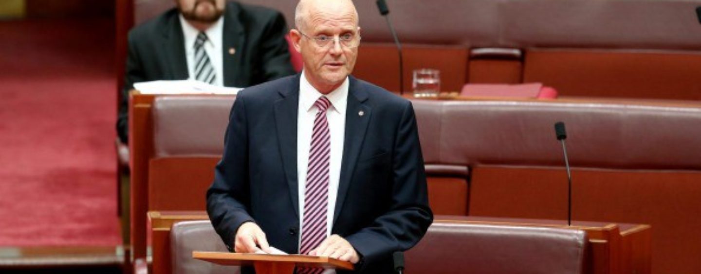 Leyonhjelm: Start the budget from scratch