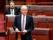 Leyonhjelm: Start the budget from scratch