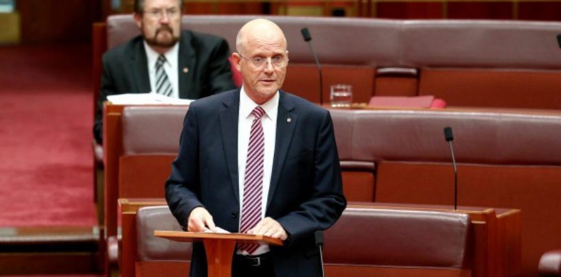 Leyonhjelm: Start the budget from scratch