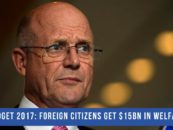 Welfare for foreign citizens and the 2017 budget